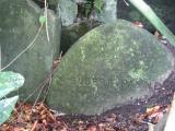 image of grave number 193978